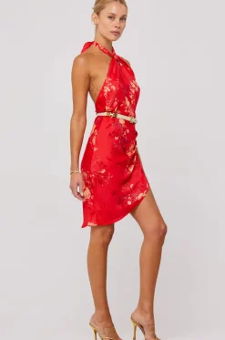 Cheap Diana Dress In Blossom Women Dresses