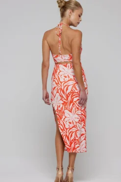 Cheap Nikki Dress In Clementine Women Dresses
