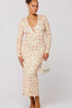 Online Twiggy Dress In Wildflower Women Dresses