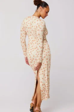 Online Twiggy Dress In Wildflower Women Dresses