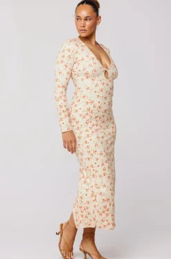 Online Twiggy Dress In Wildflower Women Dresses