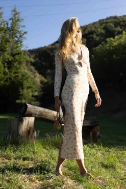 Online Twiggy Dress In Wildflower Women Dresses